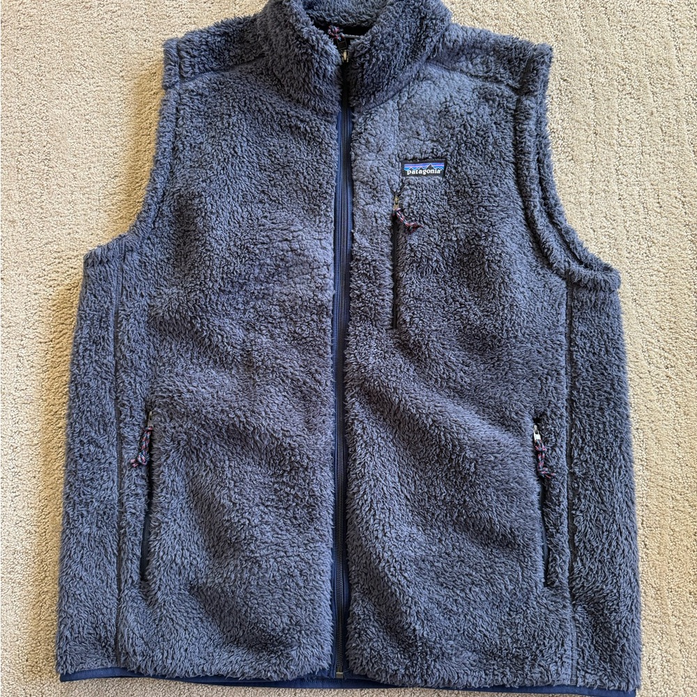 Patagonia men’s fleece vest